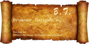 Brukner Tulipán névjegykártya